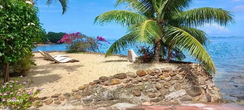 Nui Stay Haapiti